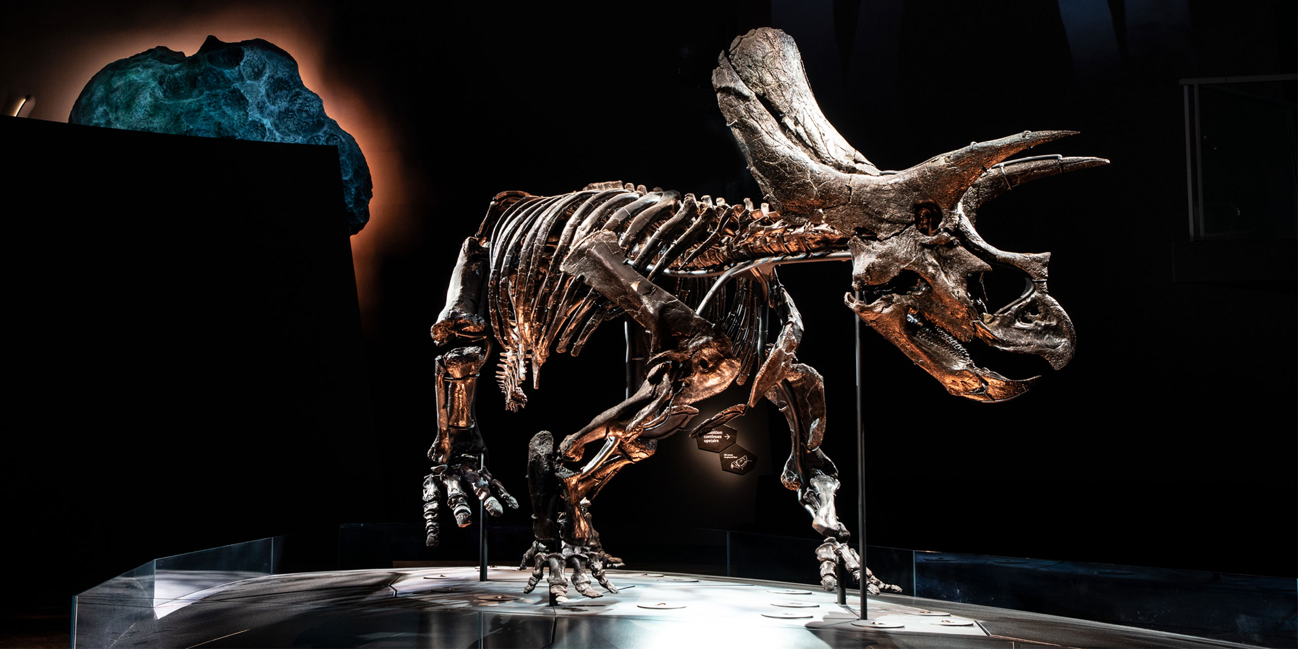 Triceratops Fate Of The Dinosaurs VPDA