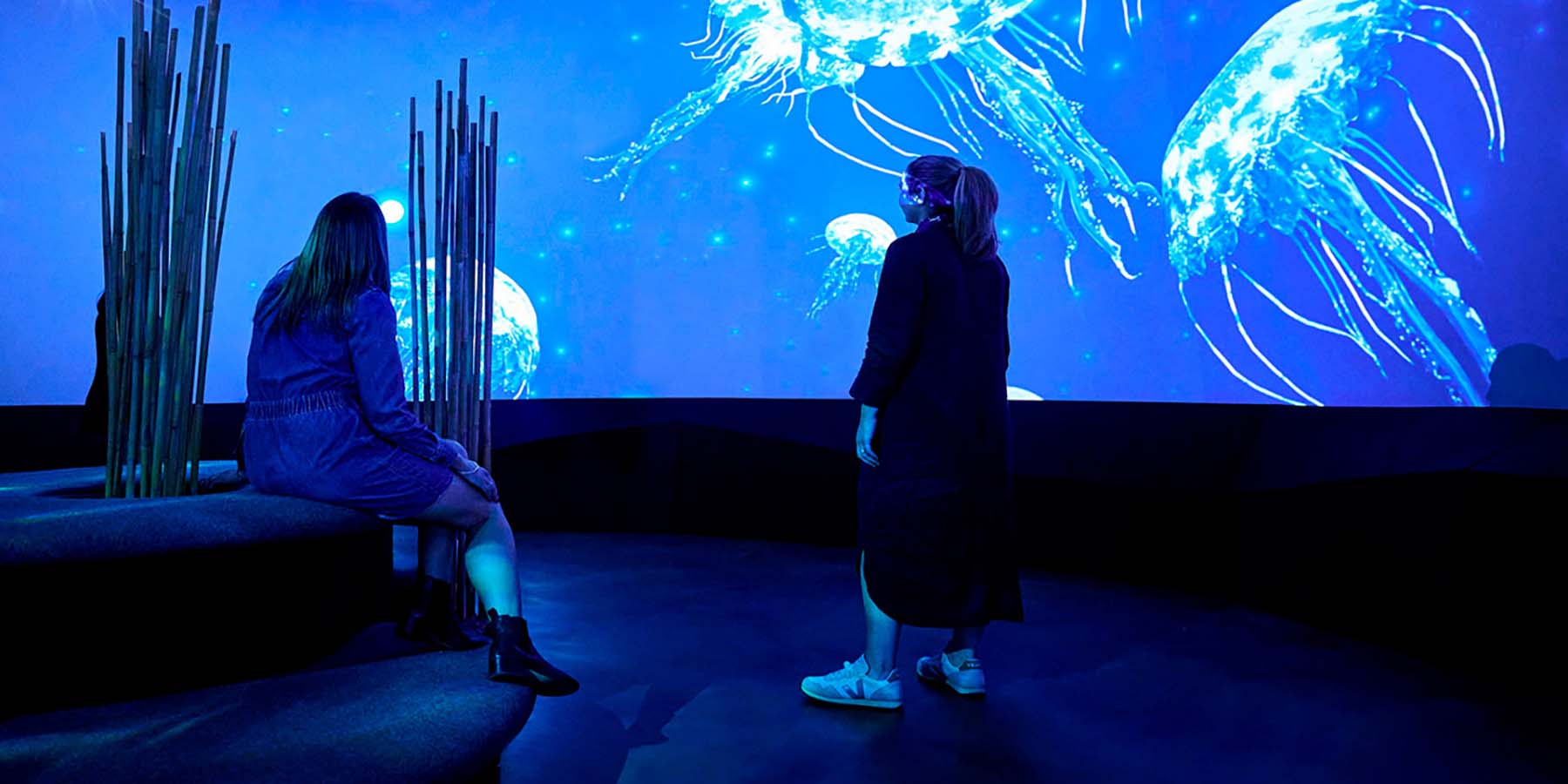 A projected story and soundscape where visitors take a moonlit deep dive into the depths of the magical bioluminescent world.