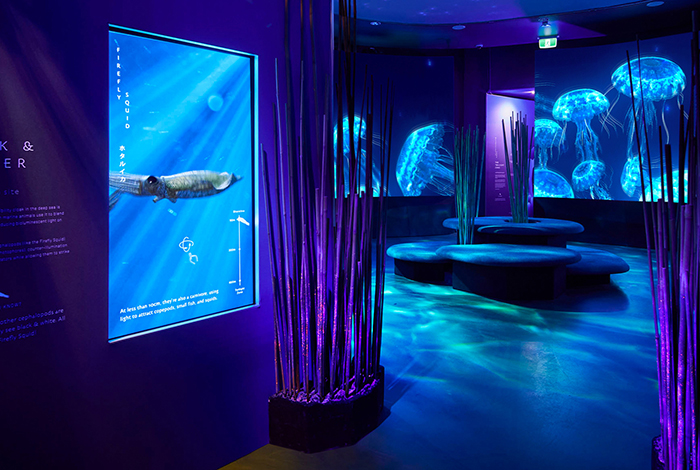 A peek into Submerged, a multi-sensory digital exhibition made for Sea Life Melbourne.