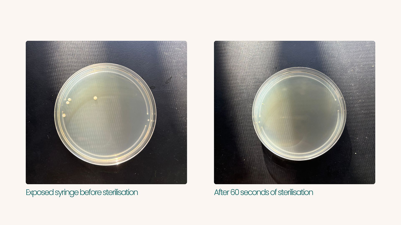 Bacterial growth testing