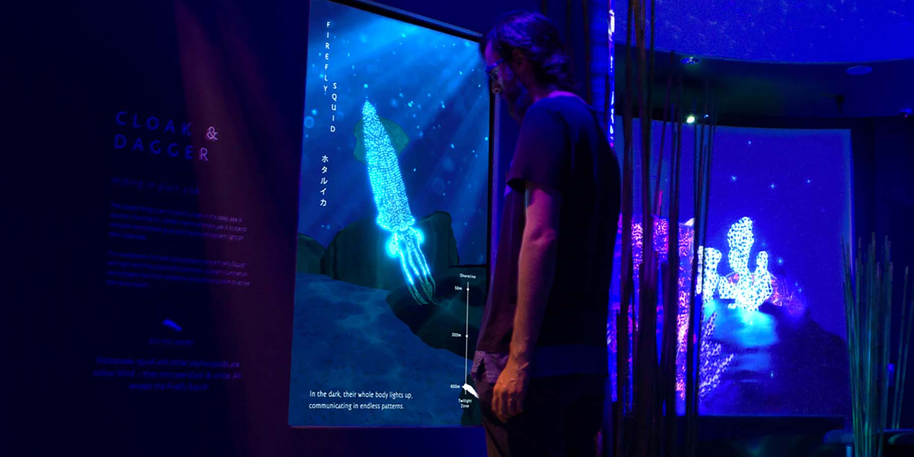 An interactive touchscreen where users take a close look at bioluminescent camouflage.