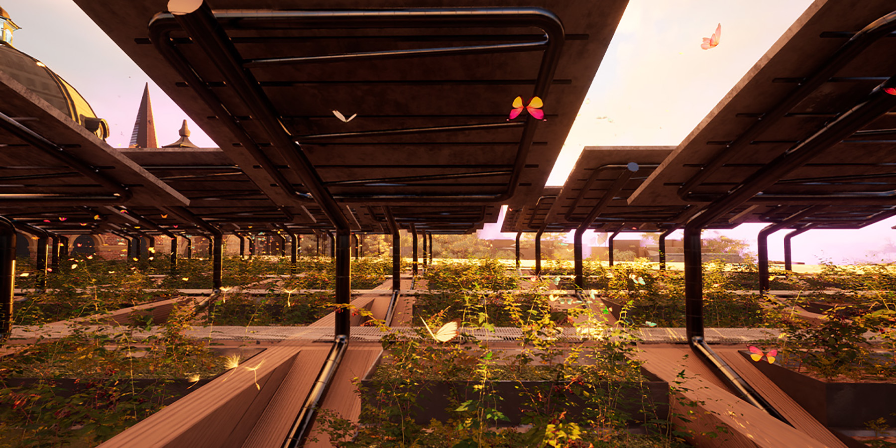 A blueberry and solar farm.