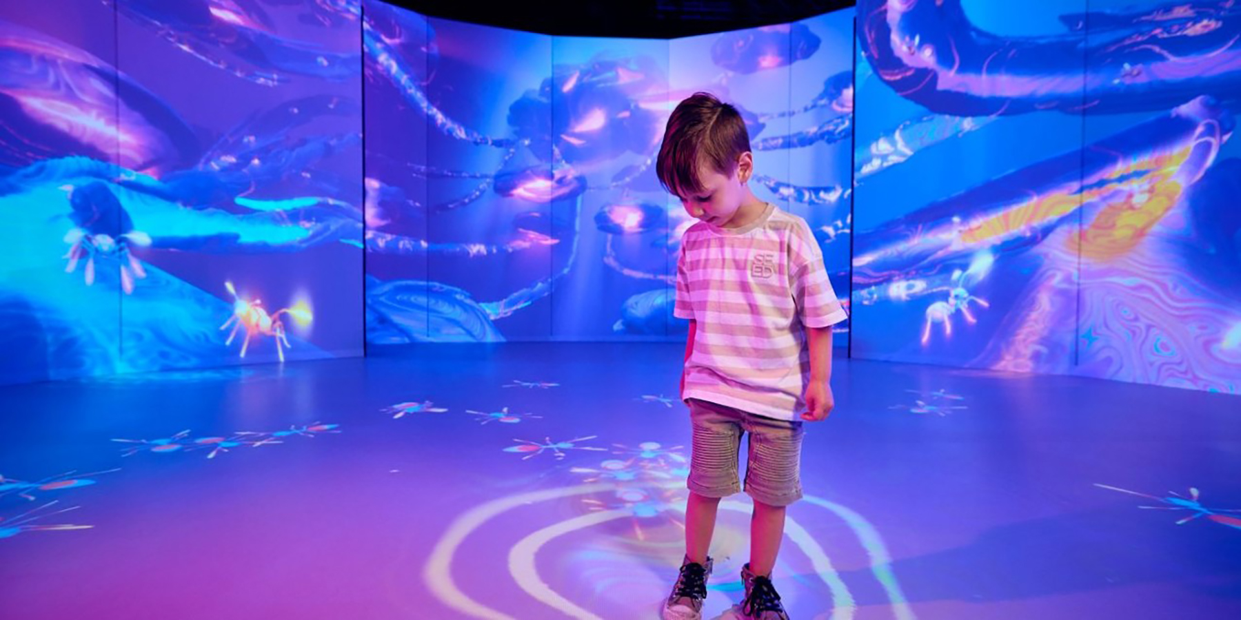 A young exhibition visitor activating live responsive projections, representing ant pheromones