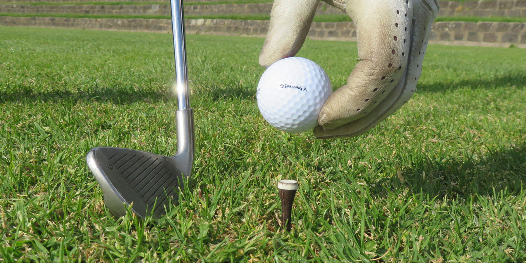Grounds for grounds' biodegradable golf tee in play