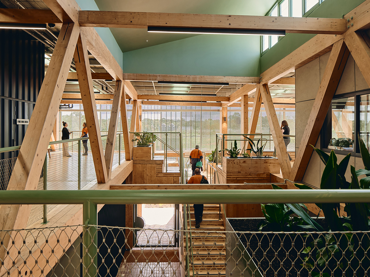 A timber staircase creates a social space connecting various building users.