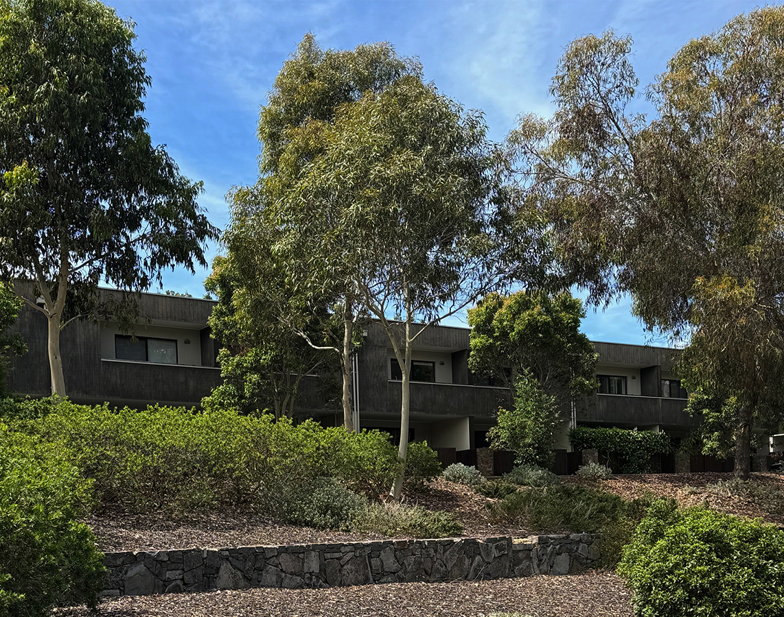 A row of timber terrace houses with a landscaped open space of trees and shrubs. The houses are painted in muted tones.
