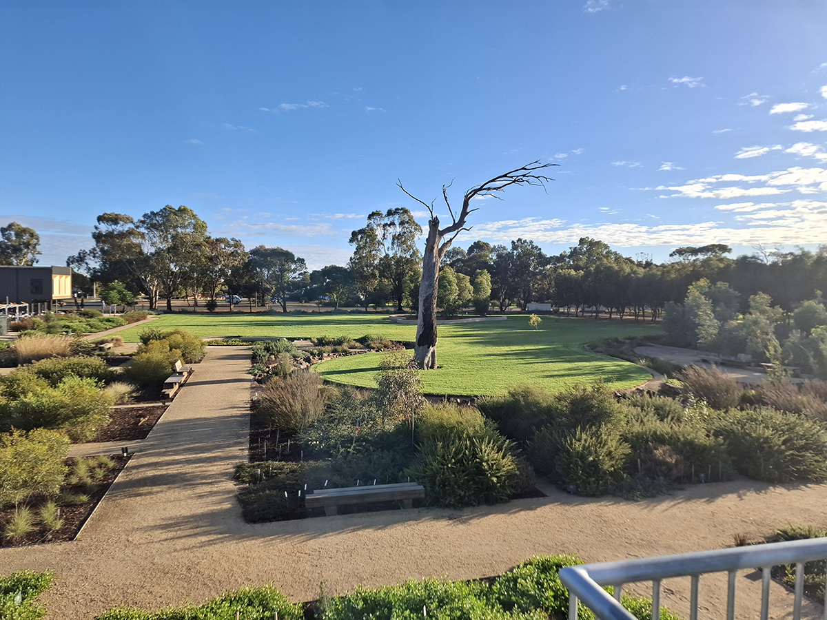 Looking north from the tower, Gargarro Botanic Garden