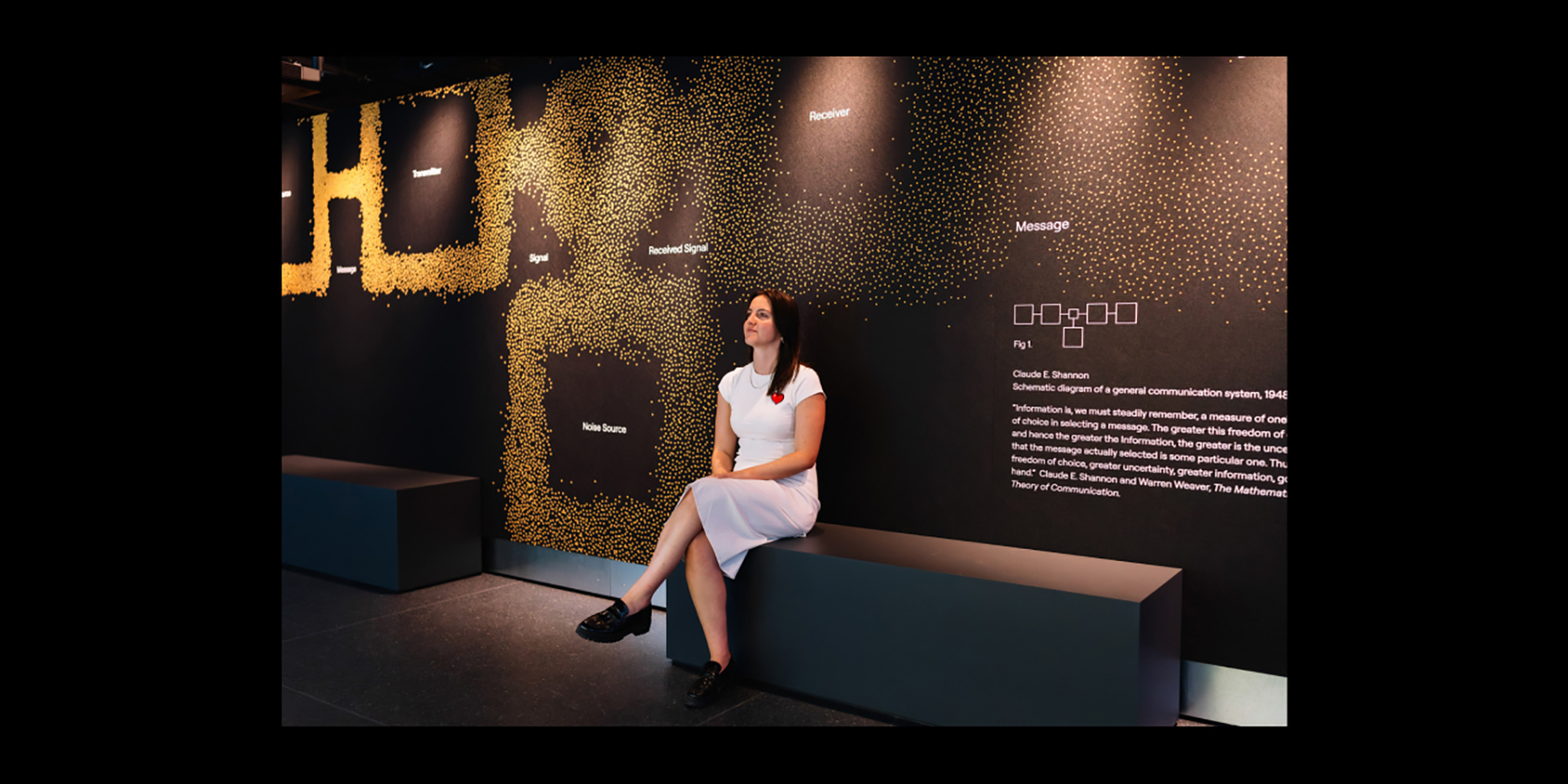 Example of branded diagram on feature wall