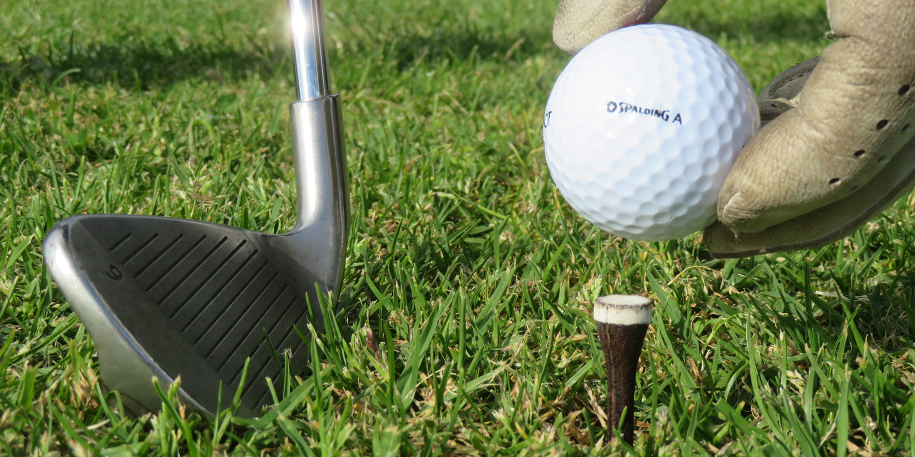 Grounds for grounds' biodegradable golf tee in play