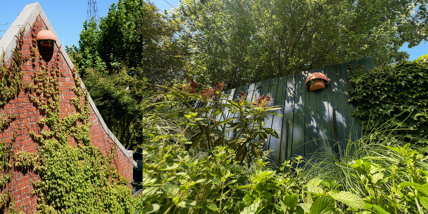 Wall mounted Holo habitats