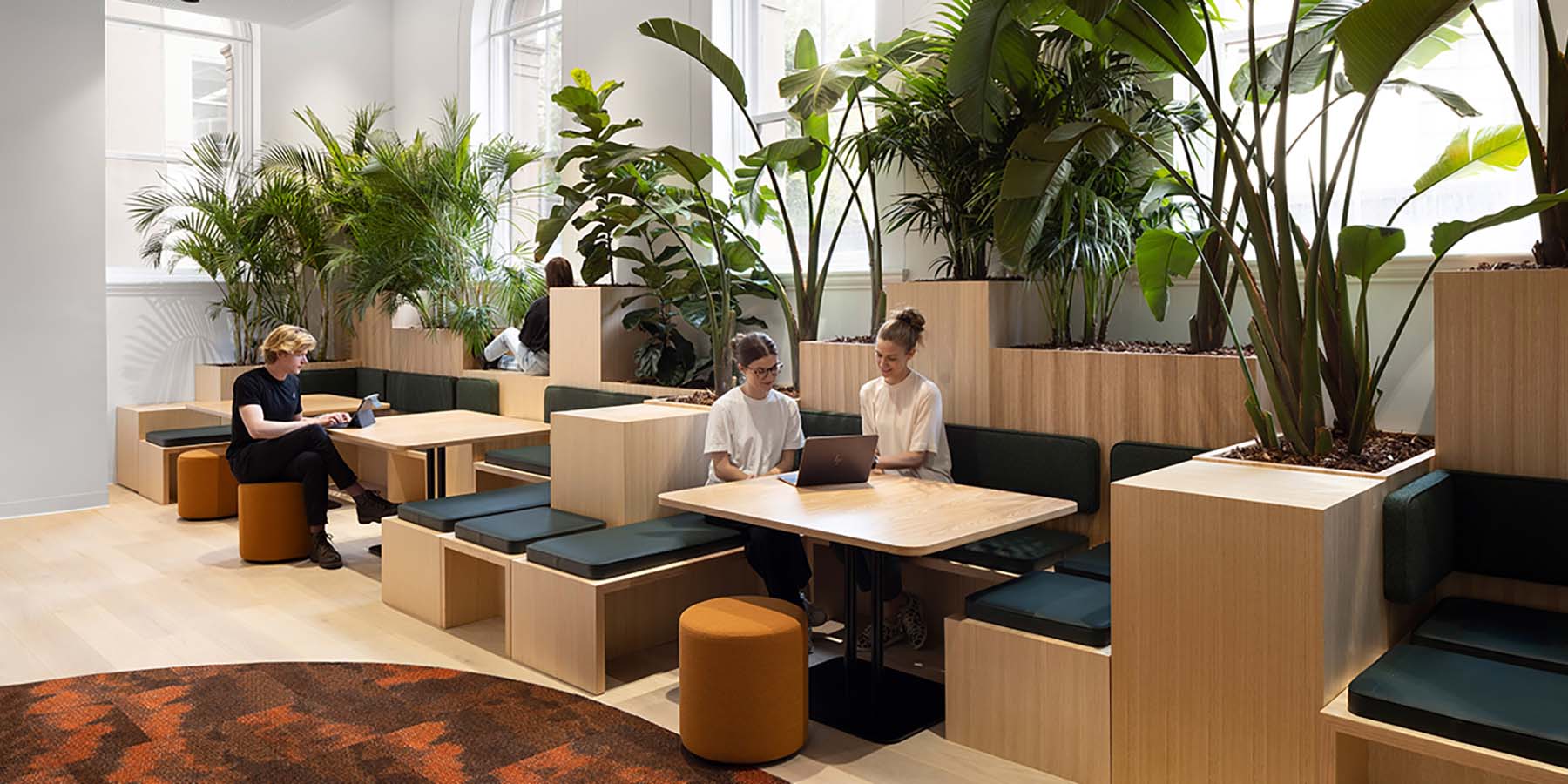 Flexible seating area with booths, stools, tables. People gathering in the space. Indoor plants and natural light.