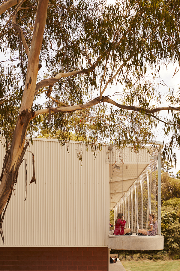 Students find an easy place to perch and socialise among the gumtrees