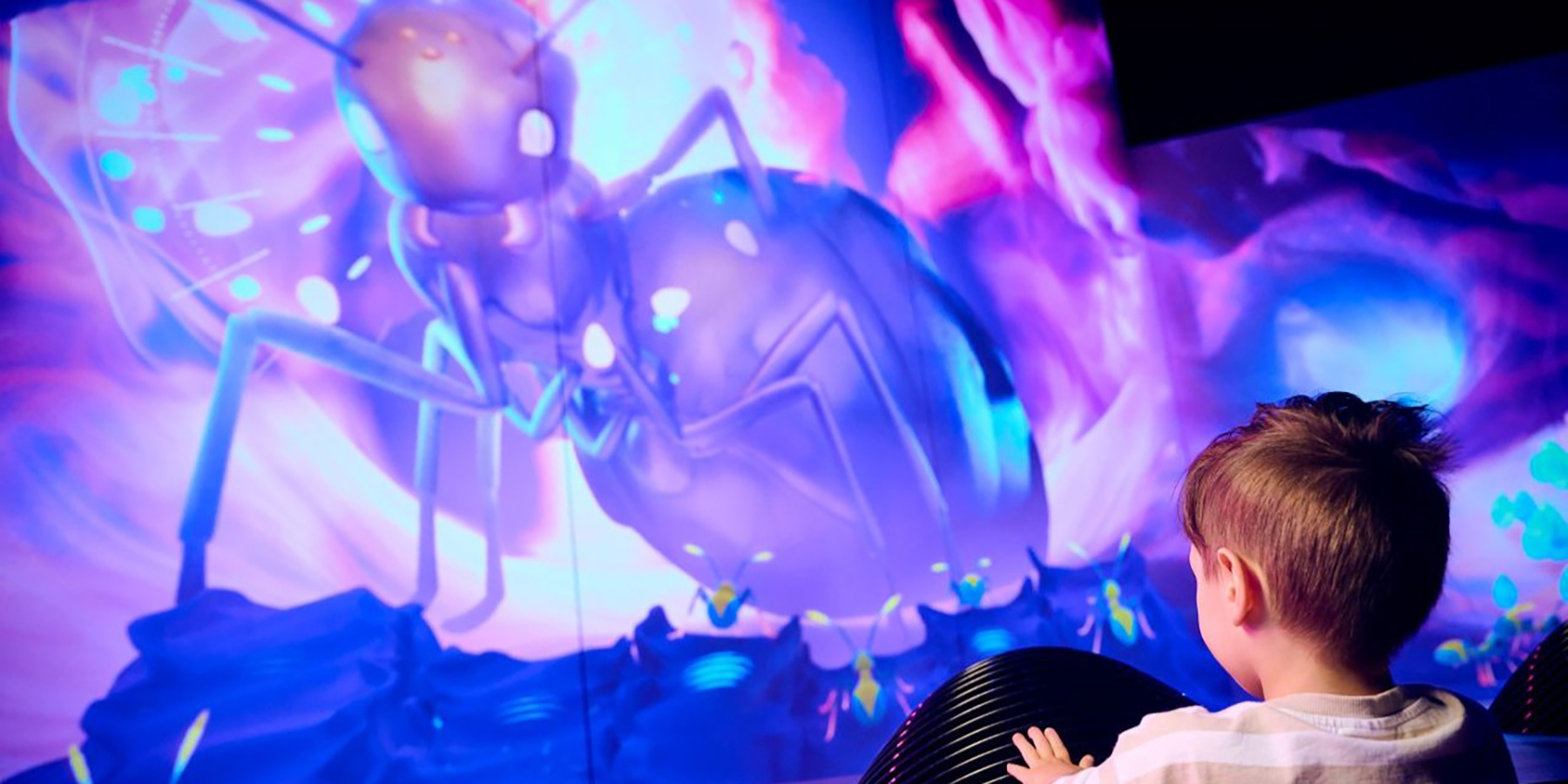 A young exhibition visitor playing a game based on ant strigulation, to communicate with the Queen ant