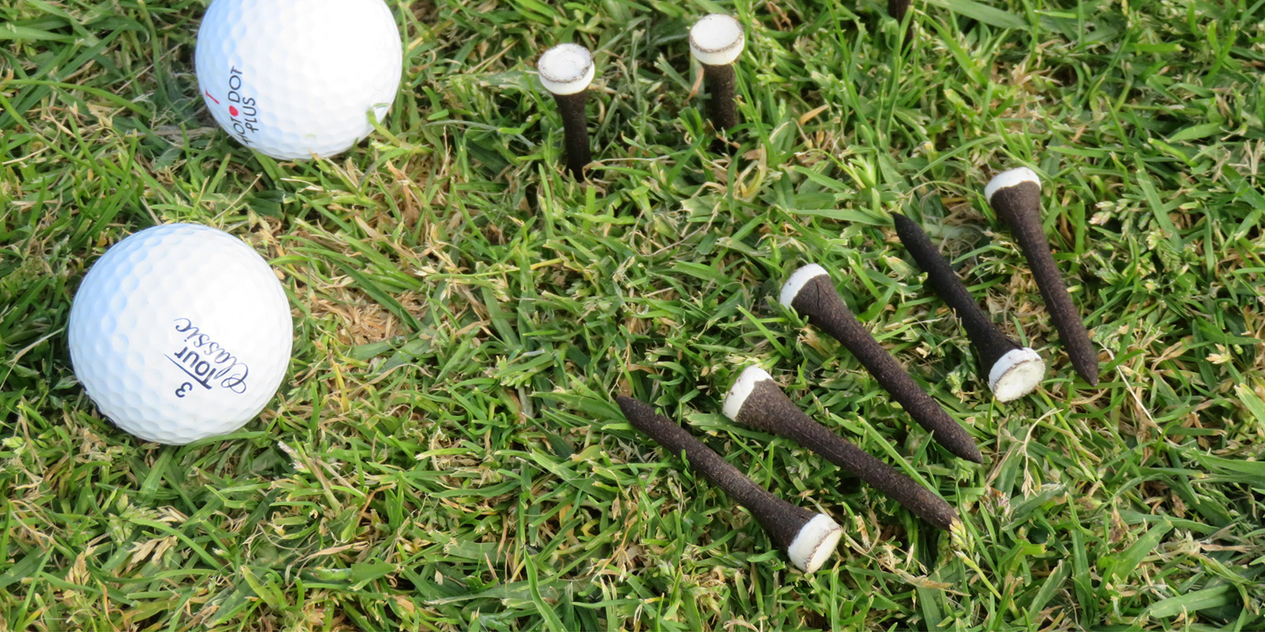 Grounds for grounds' biodegradable golf tee with golf ball