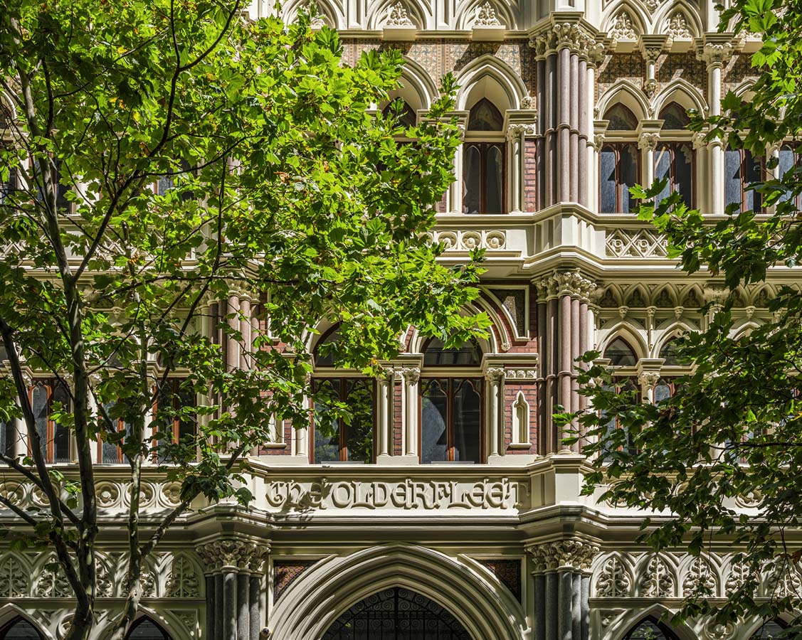 Ornate features of Victorian architecture behind large trees with green leaves. Photo by Tim Griffiths