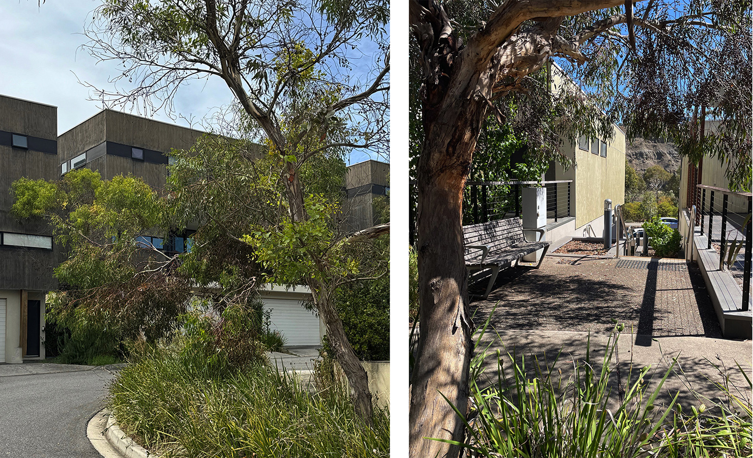 A three-storey timber terrace house with trees. A pedestrian short-cut down to the lake.