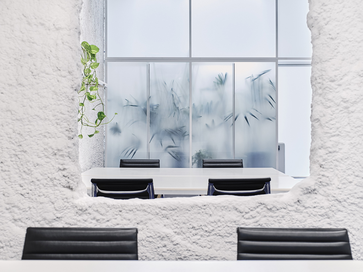 Contemporary studio interior with recycled HDPE desks, vintage chairs,  textured lime walls and terrarium wall.