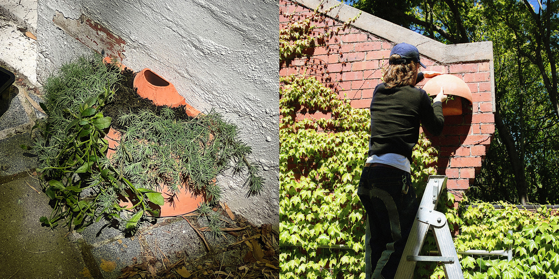 Holo mounting and planter bed