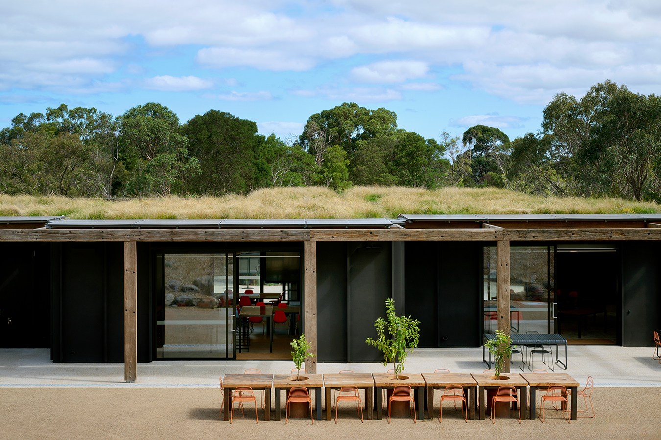 Woodleigh Futures Studio: A black modular building with native grass growing from the roof behind a timber outdoor furniture