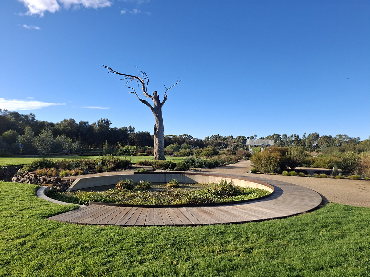The Guardian Tree, Gargarro Botanic Garden