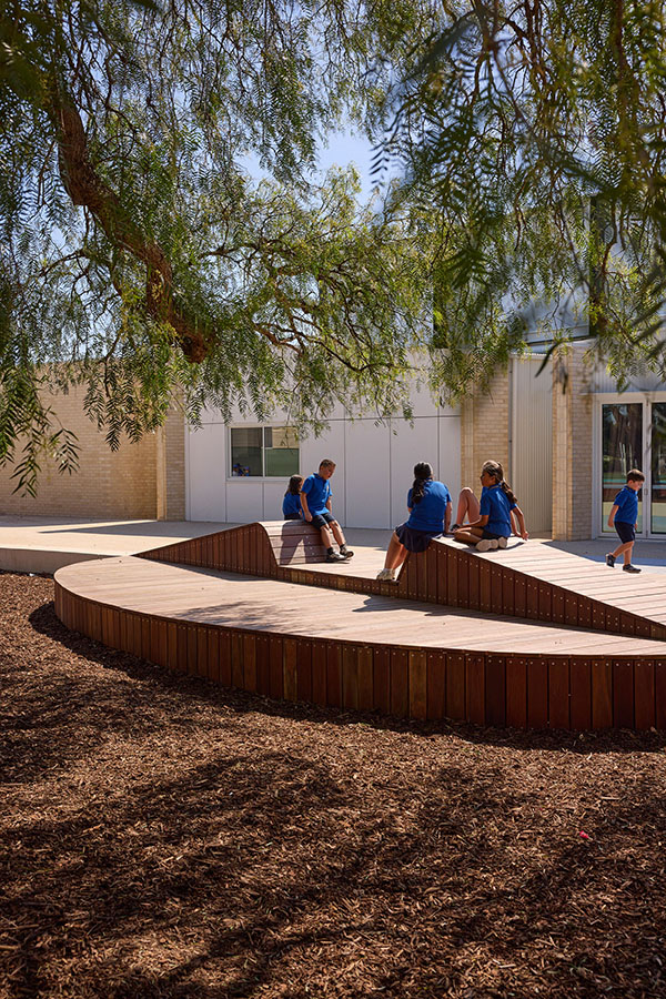 The 'amphibitheatre' under the peppercorn tree.