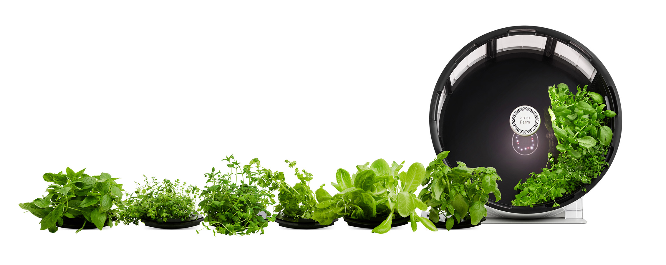 Roto Farm with Plant Pads removed