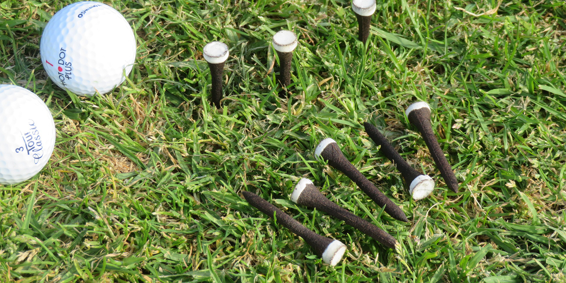 Grounds for grounds' biodegradable golf tee with golf ball