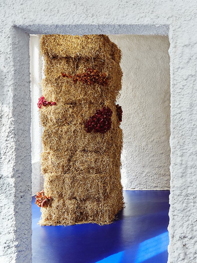 Contemporary gallery interior with blue floor, textured lime walls featuring a botanical installation of a hay stack.