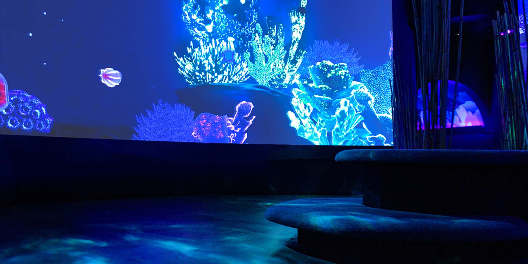 A 360 projected story and soundscape where visitors take a deep dive into the depths of the magical bioluminescent world.