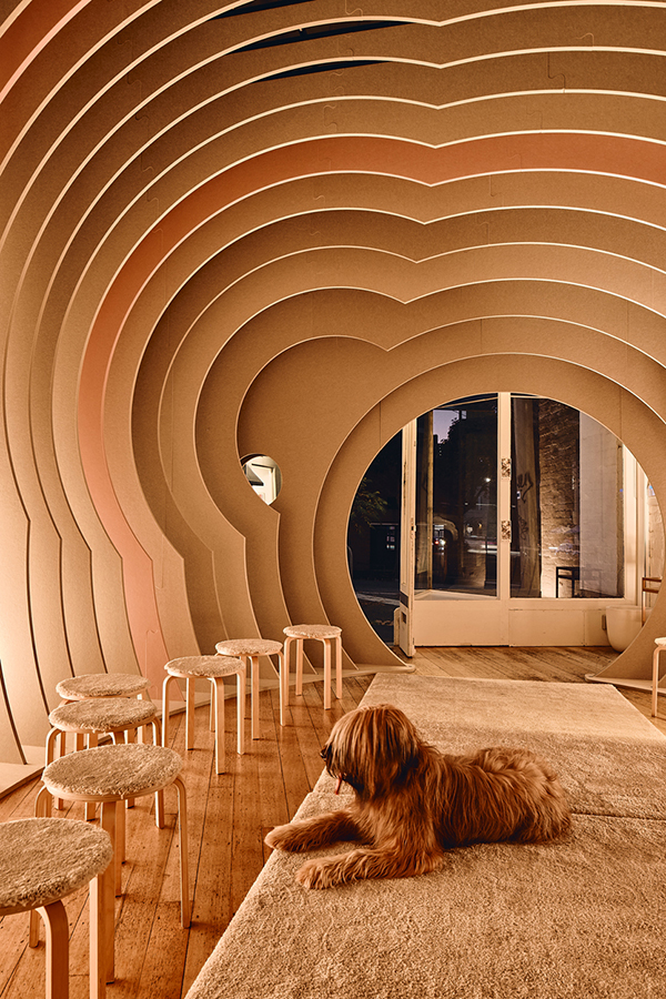 Dog lying on a carpet in a curved room with stools around.