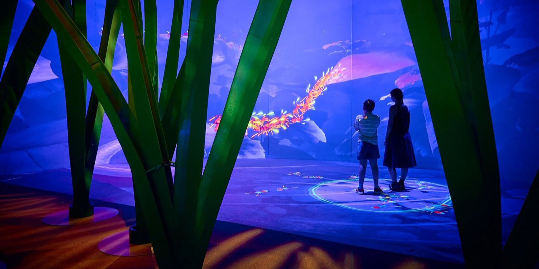 Two exhibition visitors watching ants and aphids interact in a live projection environment