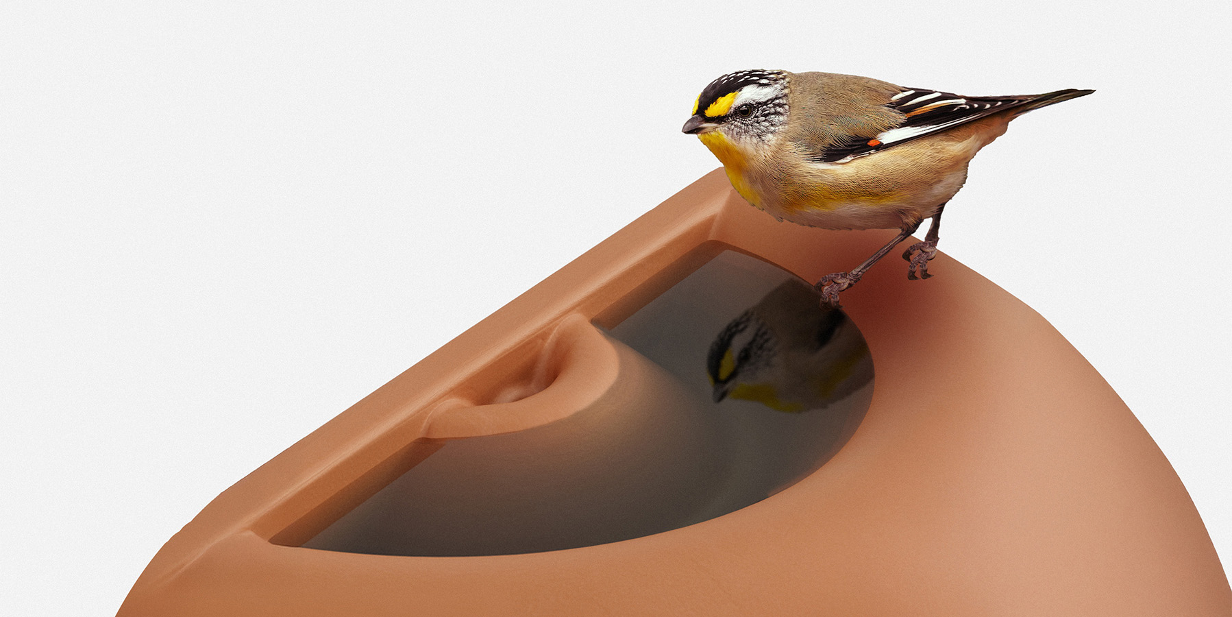 Holo Drinking Reservoir